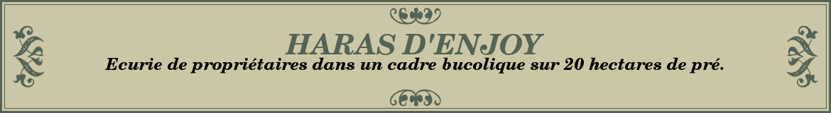 HARAS D'ENJOY